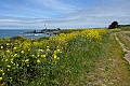 Pigeon Point Lighthouse