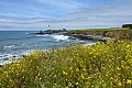 Pigeon Point Lighthouse