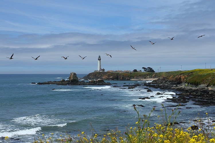 Pigeon Point Lighthouse