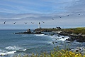 Pigeon Point Lighthouse