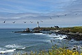 Pigeon Point Lighthouse