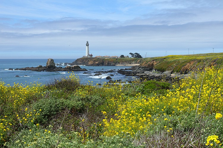Pigeon Point Lighthouse