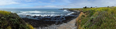 Pigeon Point Lighthouse