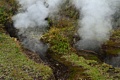 Steam Vents