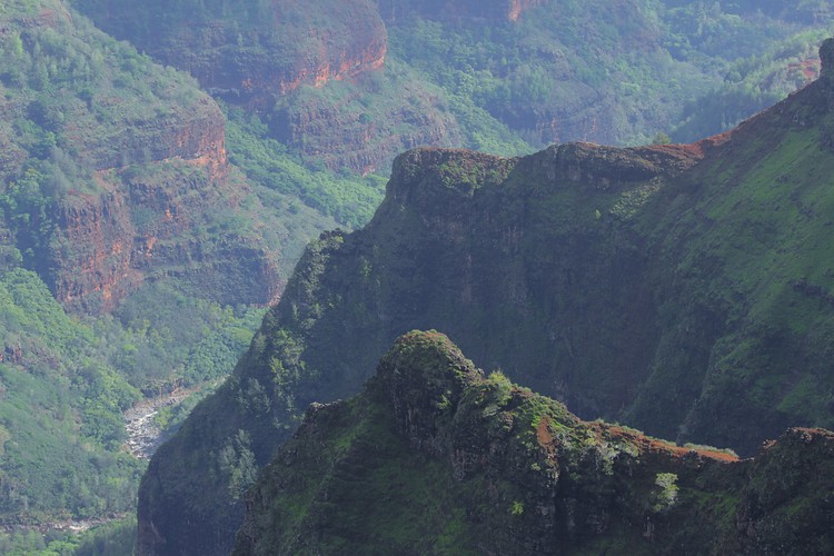 Waimea River