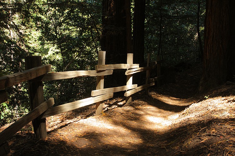 Crystal Springs Trail