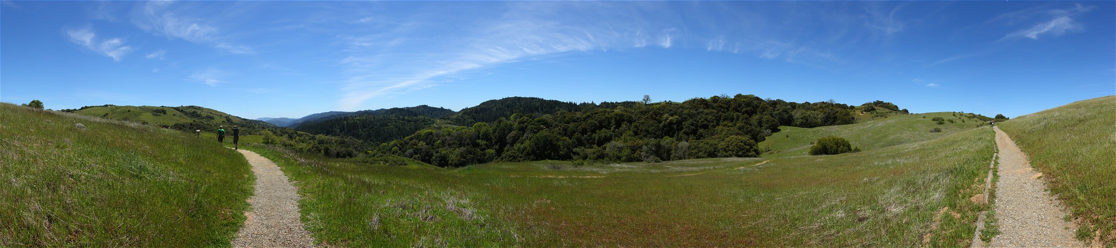 Monte Bello Open Space Preserve