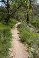 Condor Gulch Trail