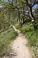 Condor Gulch Trail