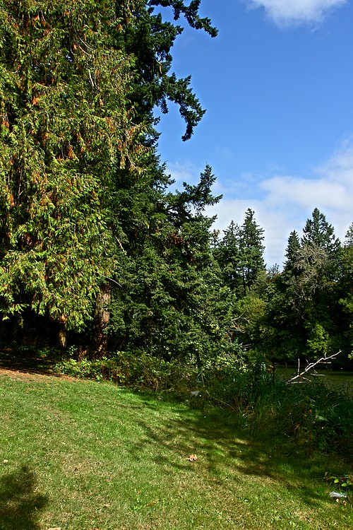 Tualatin Community Park