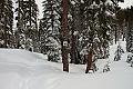 Sierra-at-Tahoe Snowshoe Trail