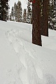 Sierra-at-Tahoe Snowshoe Trail