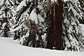 Randy shoots icicles