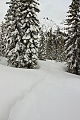 Sierra-at-Tahoe Snowshoe Trail