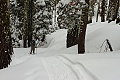 Sierra-at-Tahoe Snowshoe Trail