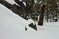 Snow-covered rock