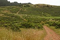 Dipsea Trail