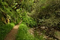 Steep Ravine Trail