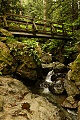 Bridge over Webb Creek