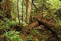 Steep Ravine Canyon