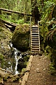 Steep Ravine Trail