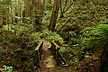 Steep Ravine Trail