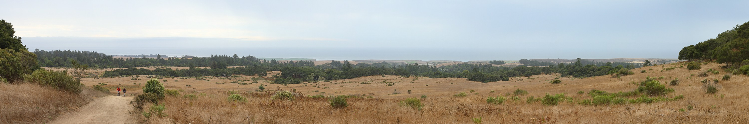 Ocean view from Wilder Ranch