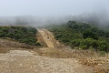 Windy Hill Open Space Preserve - August 21, 2010