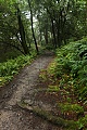 Hamms Gulch Trail