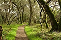 Hamms Gulch Trail