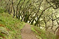 Hamms Gulch Trail