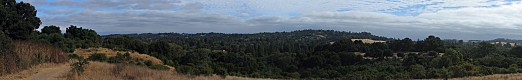 View from Spring Ridge Trail