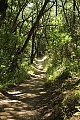 Bear Gulch Trail