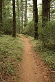 Bear Gulch Trail