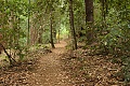 Bear Gulch Trail