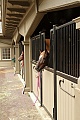 Historic Folger Estate Stable