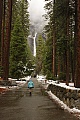 Lower Yosemite Fall