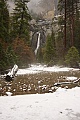 Lower Yosemite Fall