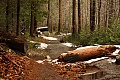 Mirror Lake Loop Trail