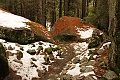 Mirror Lake Loop Trail