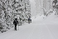 Glacier Point Road