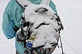 Snow on the backpack