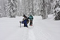 Dewey Point Meadow Trail