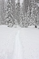 Dewey Point Meadow Trail