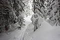 Dewey Point Meadow Trail