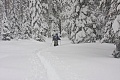 Dewey Point Meadow Trail