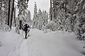 Dewey Point Meadow Trail