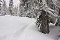 Dewey Point Meadow Trail