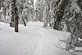 Dewey Point Meadow Trail