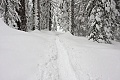 Dewey Point Meadow Trail